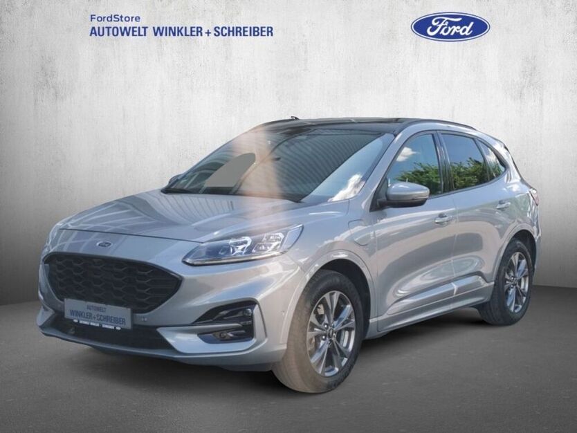 Kuga