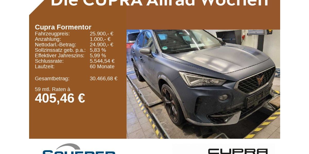 Cupra Formentor 96.895 km 25.900 &euro; Bingen / Rhein 55411