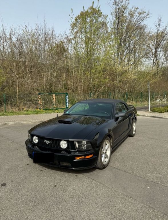 Mustang