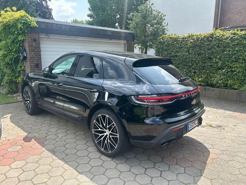 Macan