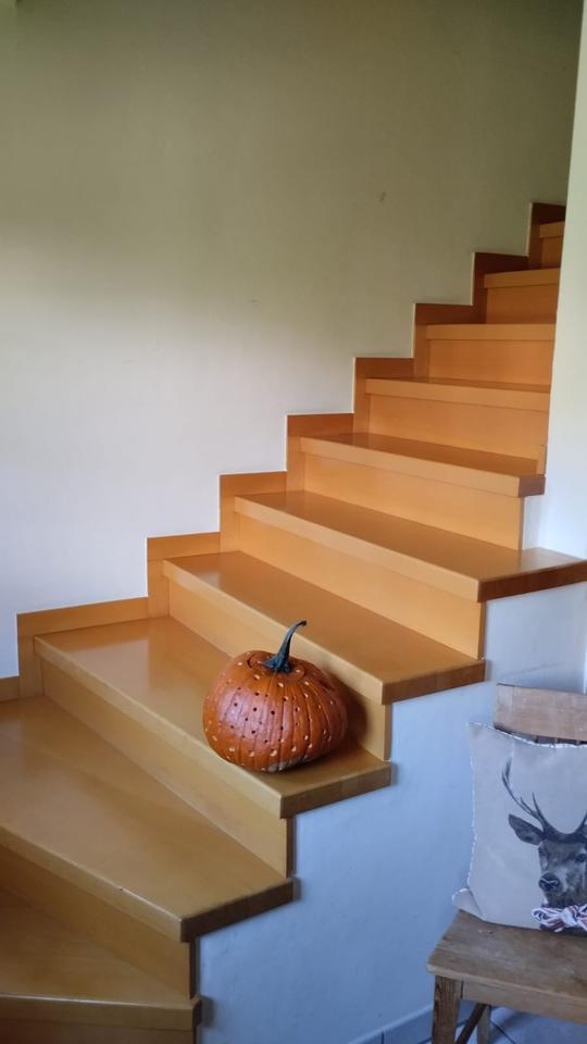 gemütliches Wohnhaus in wunderbarer Lage mit schönem Garten