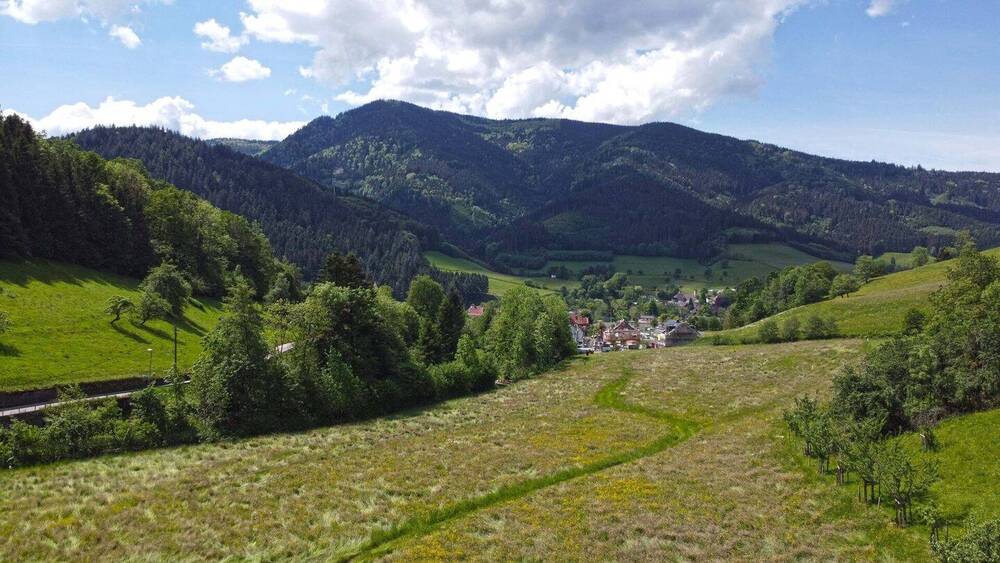 Gewerbeobjekt Simonswald - 1 Zimmer, 1.295.000&euro; | Angebot:26161227