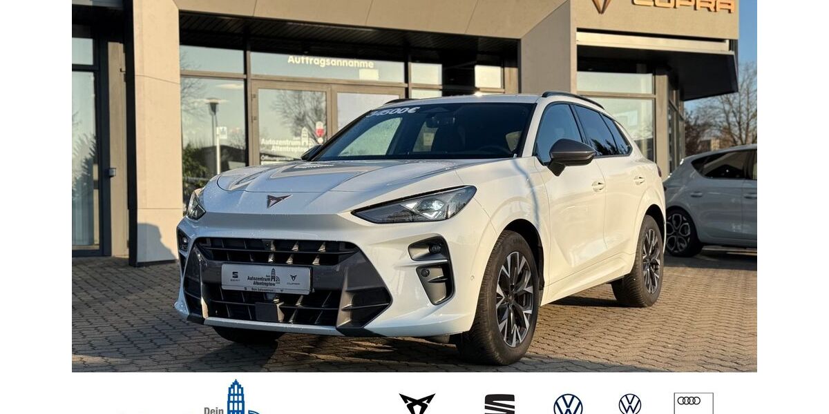 Cupra Terramar 30.544 km 34.500 &euro; Altentreptow 17087