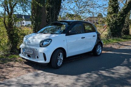 Smart ForFour 18.000 km 10.900 &euro; Uetze 31311