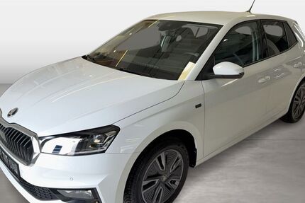 Skoda Fabia 22.472 km 19.480 &euro; Frankfurt am Main 60528