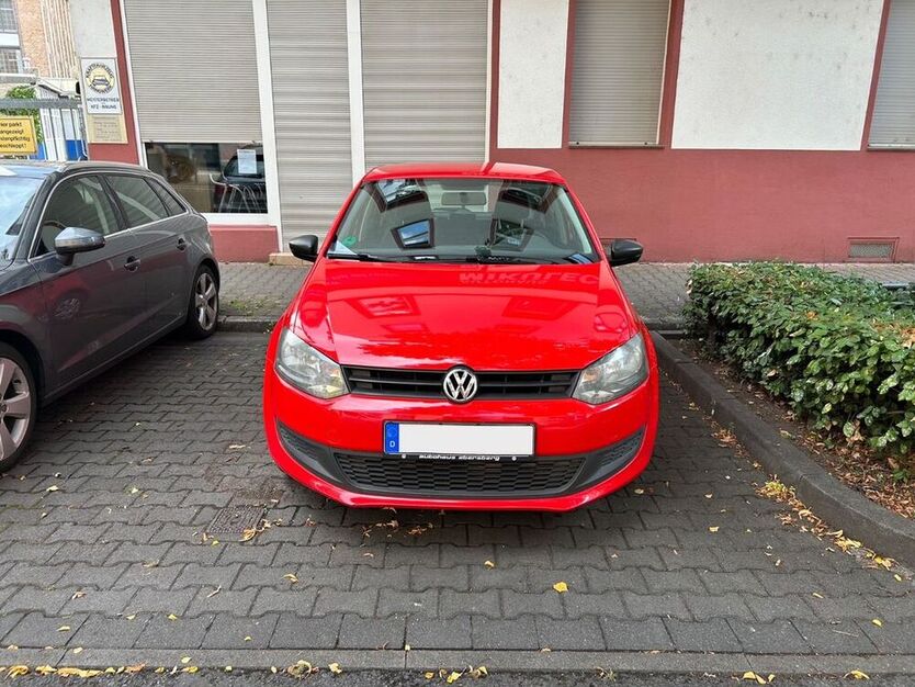 Polo