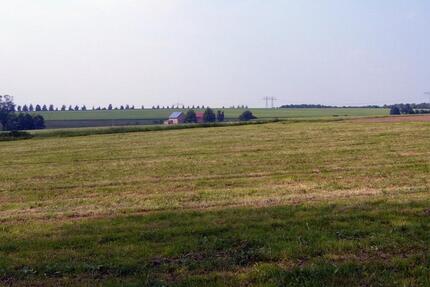 Haus Hohenstein-Ernstthal Ernstthal - 8 Zimmer, 150 m&sup2;, 550&euro; | Angebot:24847526