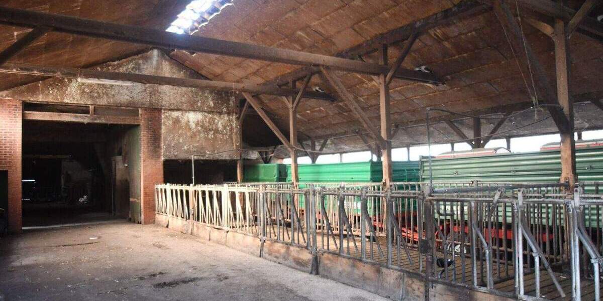 Mehrfamilienhaus, Wohnhaus Wagenfeld / Ströhen Ströhen - 8 Zimmer, 240 m&sup2;, 435.000&euro; | Angebot:25736482