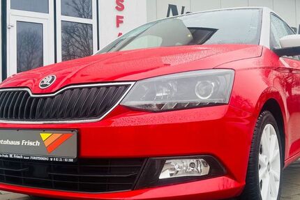 Skoda Fabia 19.800 km 12.590 &euro; Forstinning bei München 85661