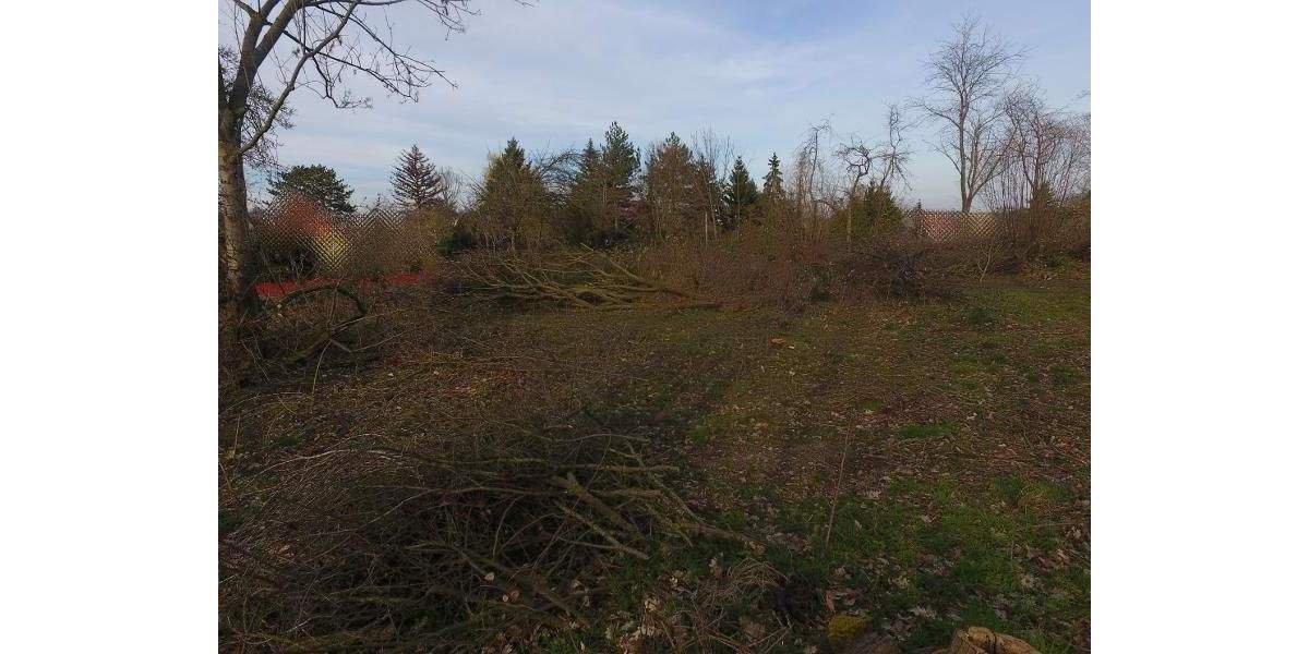 Grundstück Machern - 185.000&euro; | Angebot:24036204