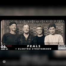 Peals + Elektro Strothmann Münster