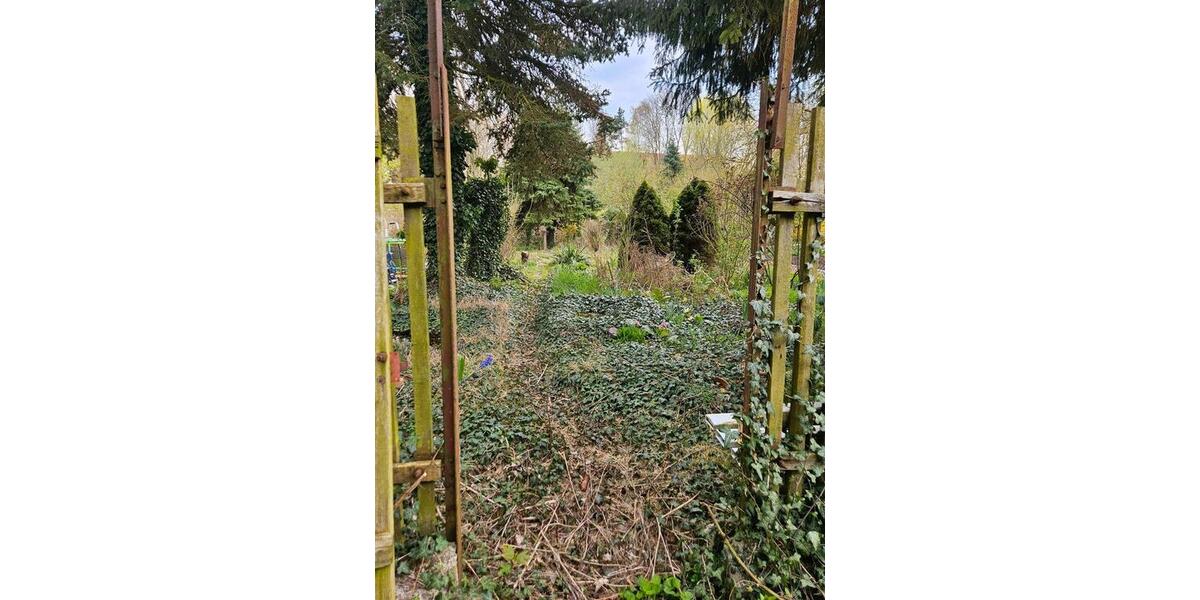 Reihenhaus Südliches Anhalt Pfaffendorf - 4 Zimmer, 85 m&sup2;, 69.000&euro; | Angebot:26196295