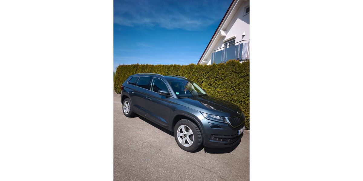 Skoda Kodiaq 193.000 km 19.999 &euro; Tuningen 78609