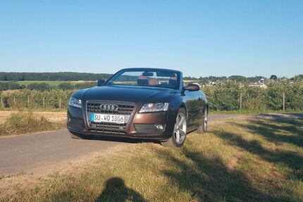 Audi A5 227.111 km 8.000 € Dresden 01307