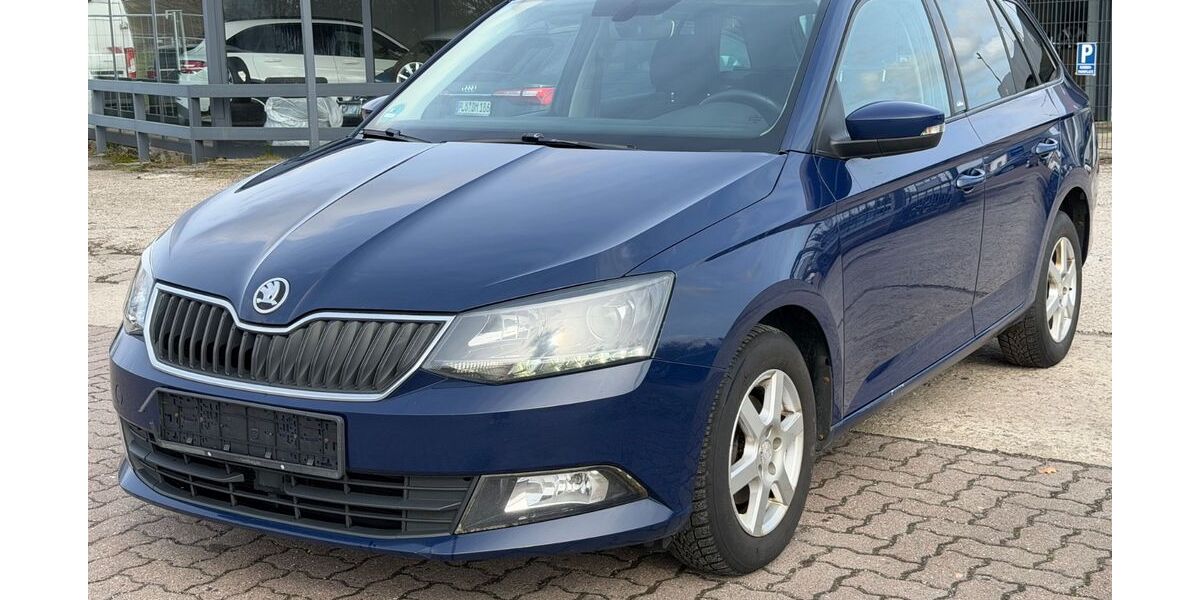 Skoda Fabia 266.000 km 2.998 &euro; BLUMENTHAL 24241