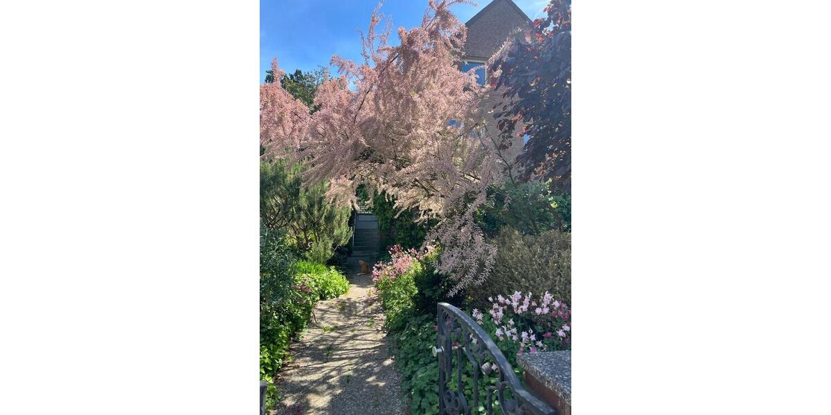 Etagenwohnung Ronnenberg - 4 Zimmer, 95 m&sup2;, 900&euro; | Angebot:26406036