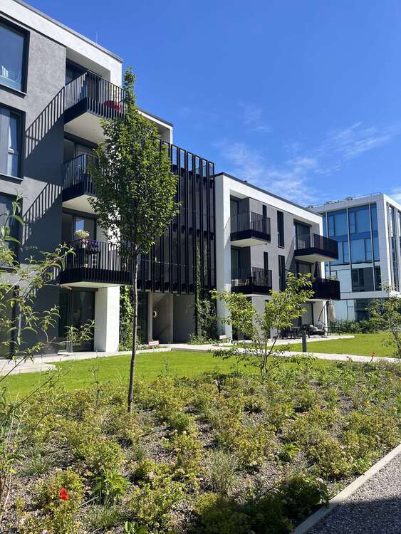 Wohnung zum Mieten in Achern 2.030 € 170 m²
