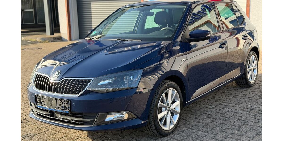 Skoda Fabia 106.900 km 12.900 &euro; Salzgitter 38229