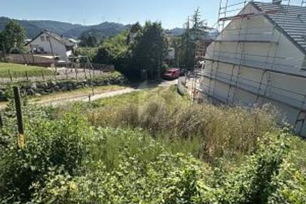 MIT AUSSICHT IN DEN SCHWARZWALD - Grundstück Gengenbach | Angebot:25213977