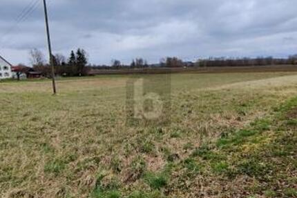 EHINGEN AN DER DONAU: IHR PLATZ ZUM BAUEN - Grundstück Ehingen an der Donau | Angebot:26373676