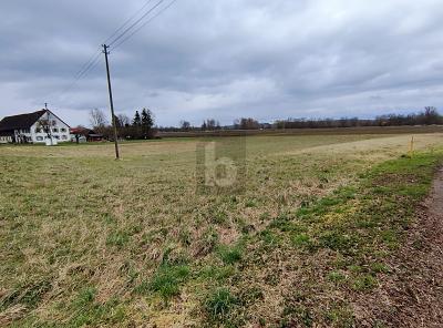 EHINGEN AN DER DONAU: IHR PLATZ ZUM BAUEN - Grundstück Ehingen an der Donau | Angebot:26373676