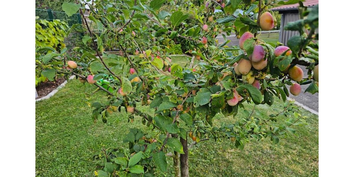 Gewerbeobjekt Oberleichtersbach - 1.800&euro; | Angebot:26700955