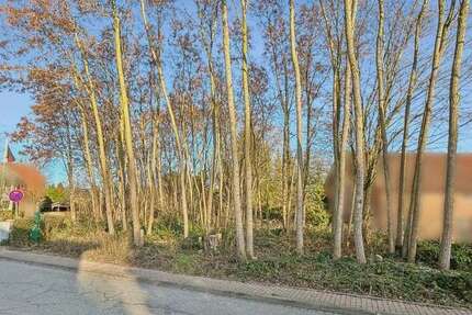 Grundstück Wittenborn - 235.000&euro; | Angebot:24546118