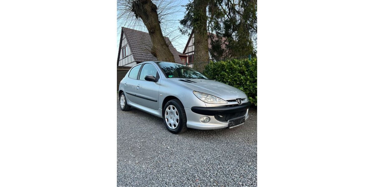 Peugeot 206 291.513 km 1.999 &euro; Mehlingen 67678