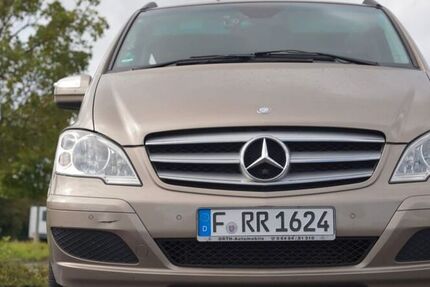 Mercedes Viano