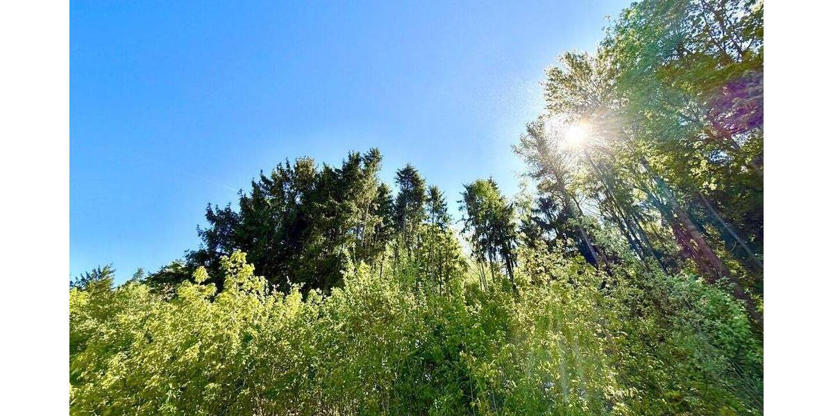 Grundstück Gleiritsch - 59.900&euro; | Angebot:26918025