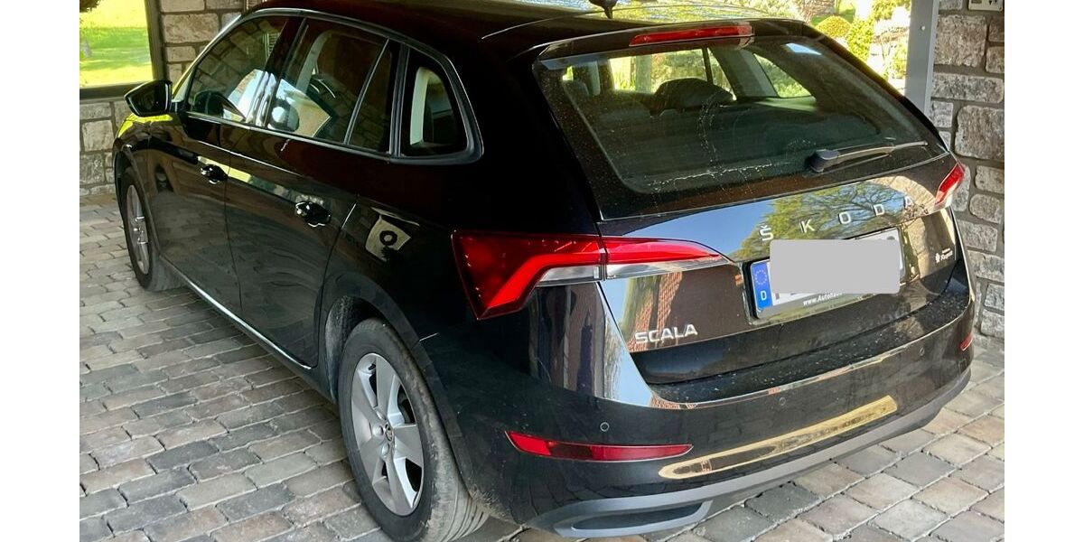 Skoda Scala 62.000 km 14.500 &euro; Delbrück 33129