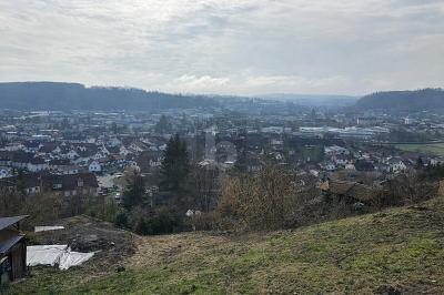 NATUR & AUSSICHT VEREINT - Grundstück Lörrach Brombach | Angebot:26990125
