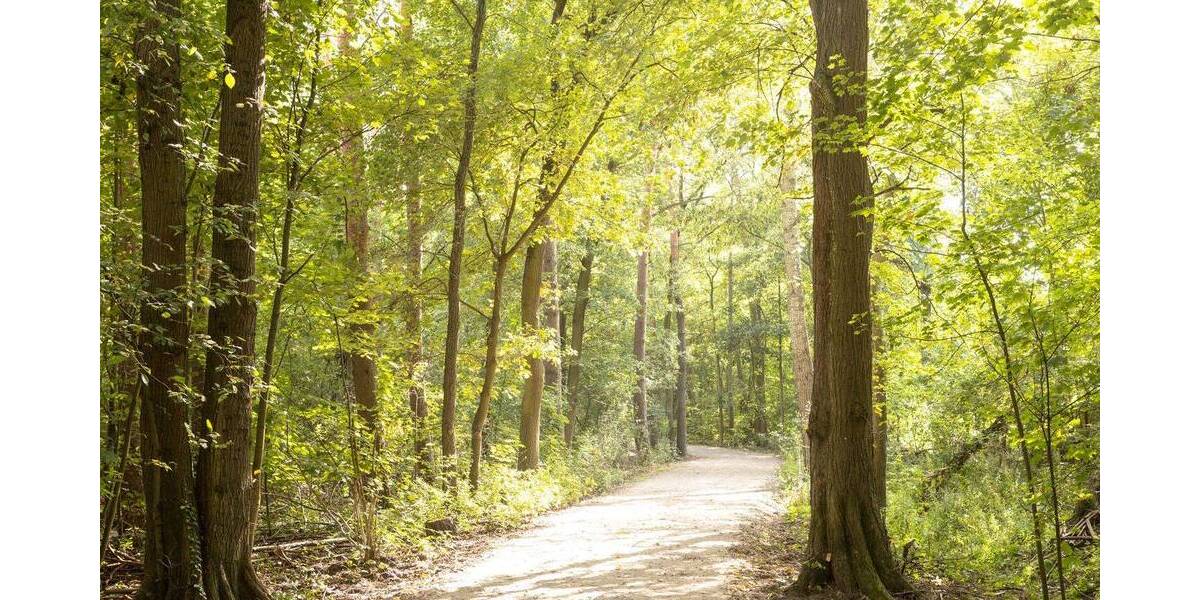 Doppelhaushälfte Berlin (Köpenick) Köpenick - 5 Zimmer, 113 m&sup2;, 599.000&euro; | Angebot:26273852