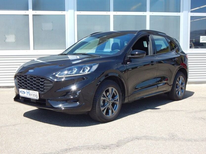 Kuga
