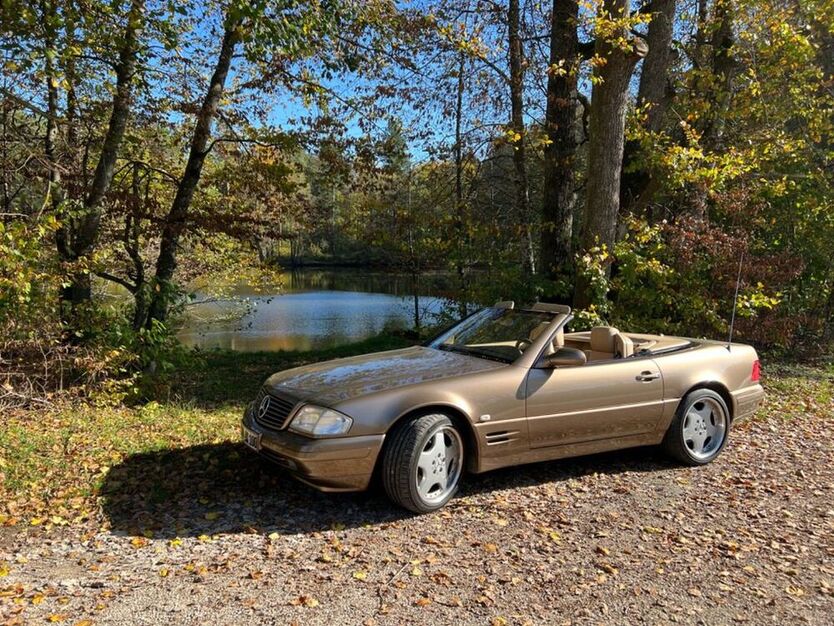 SL 500