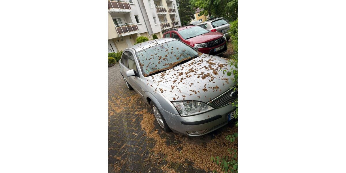Ford Focus 175.000 km 550 &euro; Siegen 57078