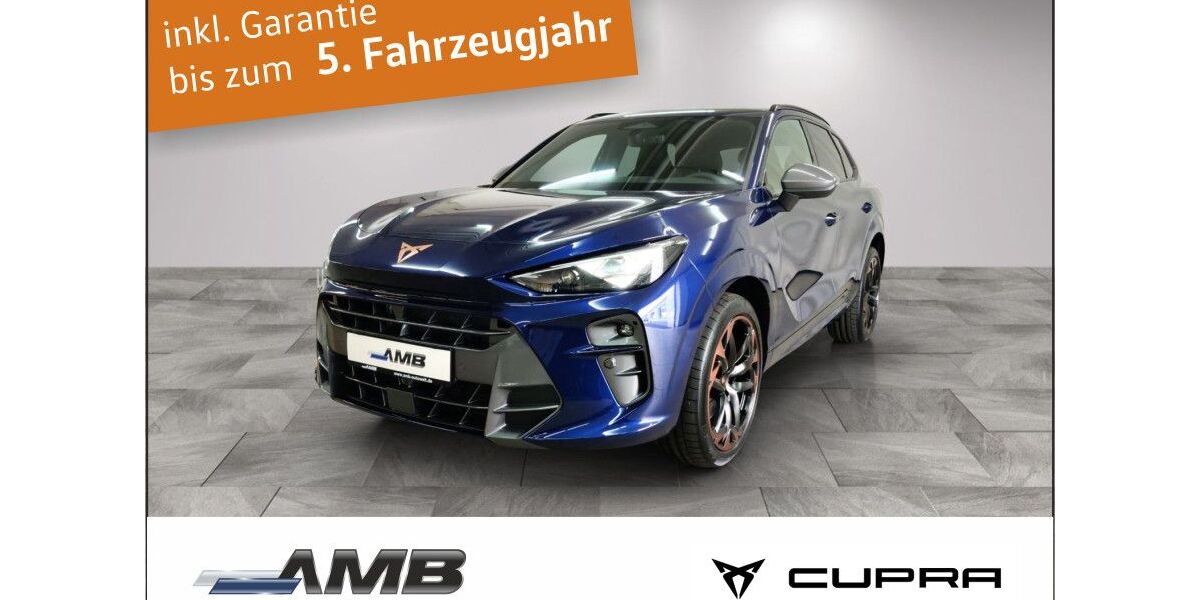 Cupra Terramar 12.500 km 48.290 &euro; Borna 04552