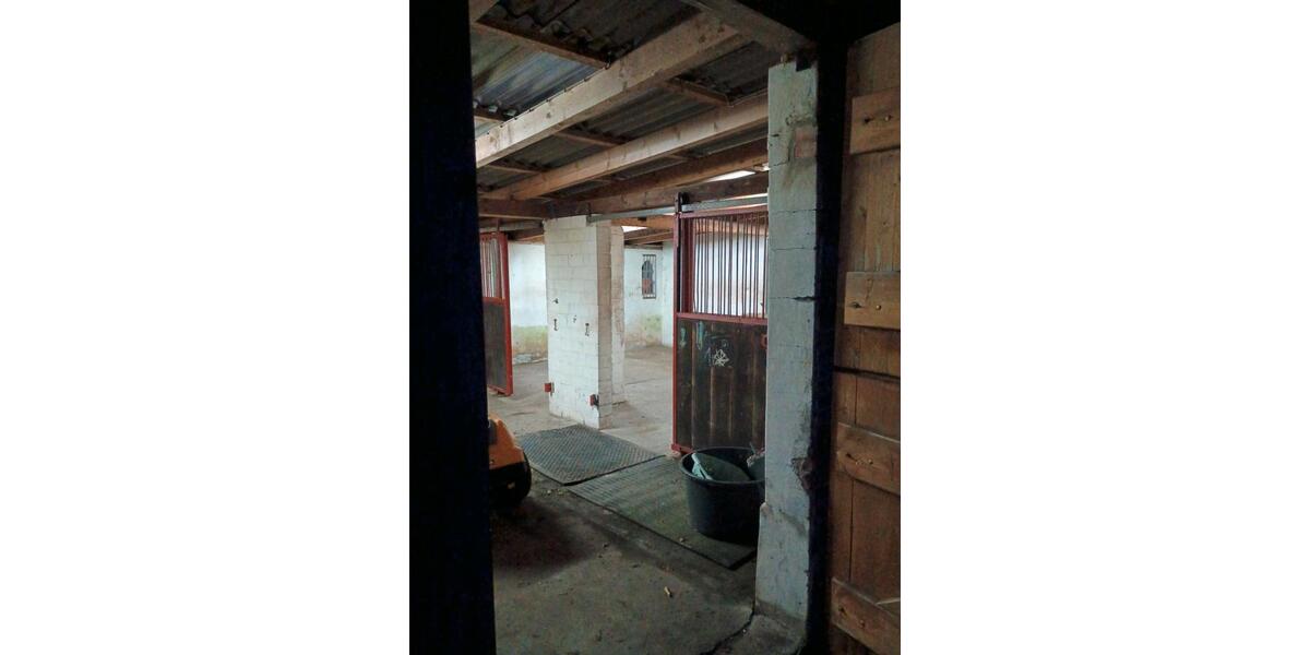 Haus zu vermieten Resthof Pferdehaltung möglich 1ha Weide 4 zimmer