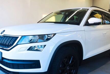 Skoda Kodiaq 196.000 km 17.755 &euro; Heilbronn-Talheim 74388