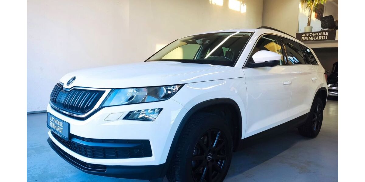 Skoda Kodiaq 196.000 km 17.755 &euro; Heilbronn-Talheim 74388