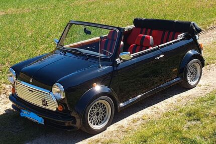 Rover Andere