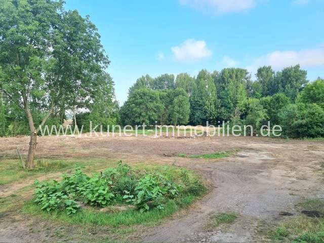 Grundstück Plötz Plötz - 95.000&euro; | Angebot:19223688