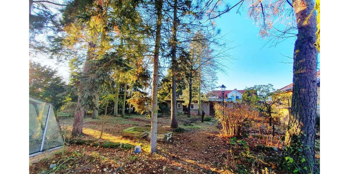 Grundstück Teltow - 355.000&euro; | Angebot:25926554