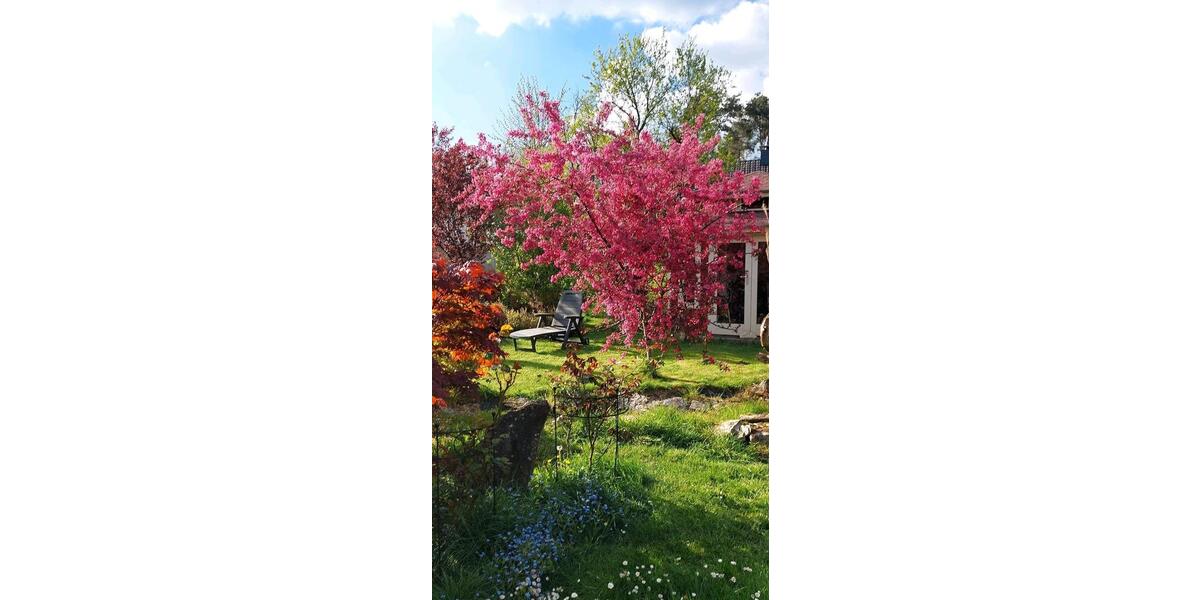 Einfamilienhaus Homburg - 6 Zimmer, 125 m&sup2;, 259.000&euro; | Angebot:27162827