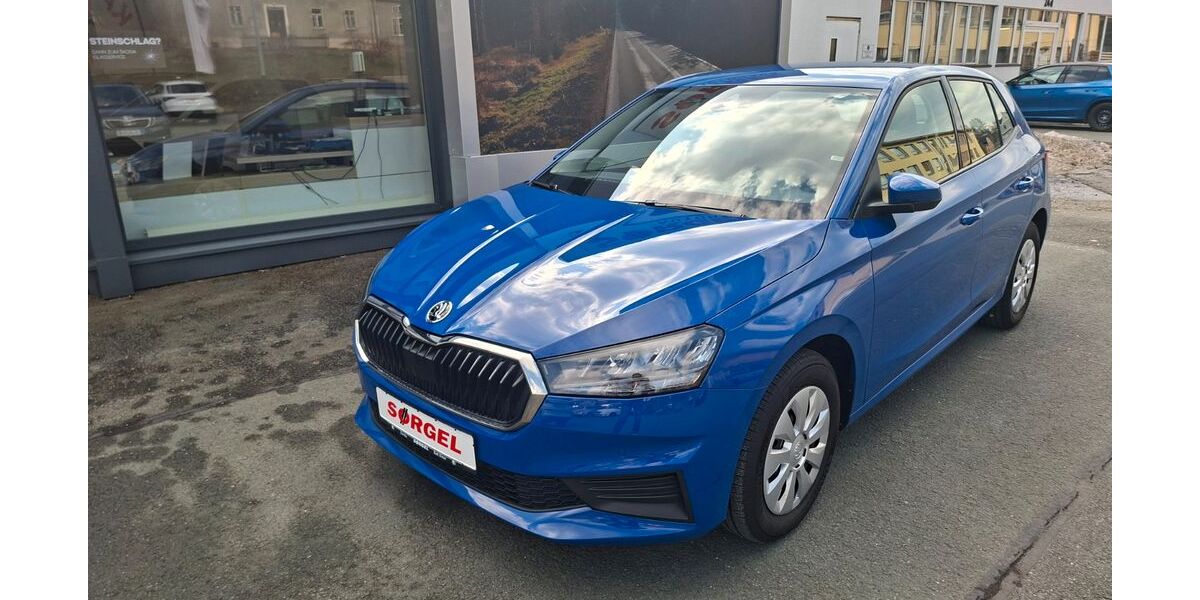 Skoda Fabia 39.100 km 14.870 &euro; Bad Elster 08645
