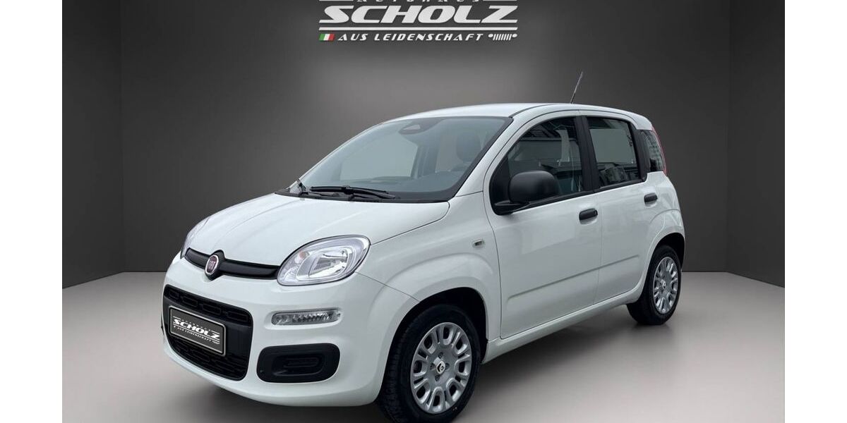 Fiat Andere 1.695 km 15.900 &euro; Bautzen 02625