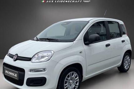 Fiat Andere 2.230 km 15.900 &euro; Bautzen 02625