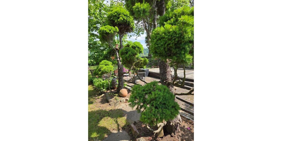 Ferienimmobilie Dresden Blasewitz - 75&euro; | Angebot:25893675