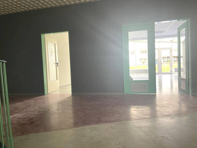 Gewerbeobjekt Singen (Hohentwiel) Singen - 325.000&euro; | Angebot:25708463