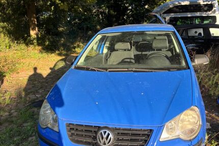 VW Polo 133.000 km 2.500 &euro; Bienenbüttel 29553